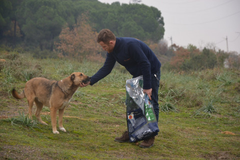 MUHAK Ormandaki Köpekleri Besledi